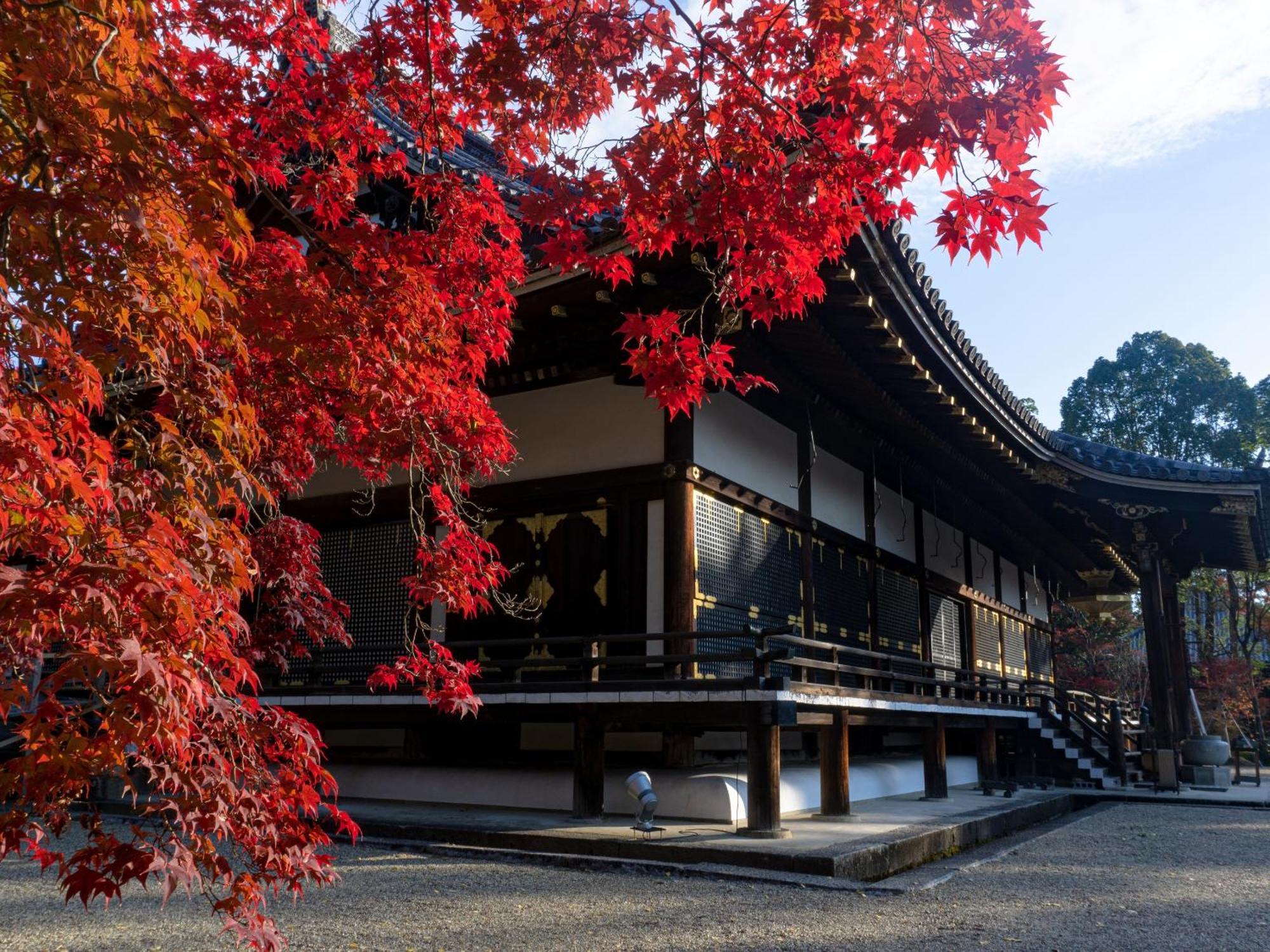 The Blossom Kyoto Buitenkant foto